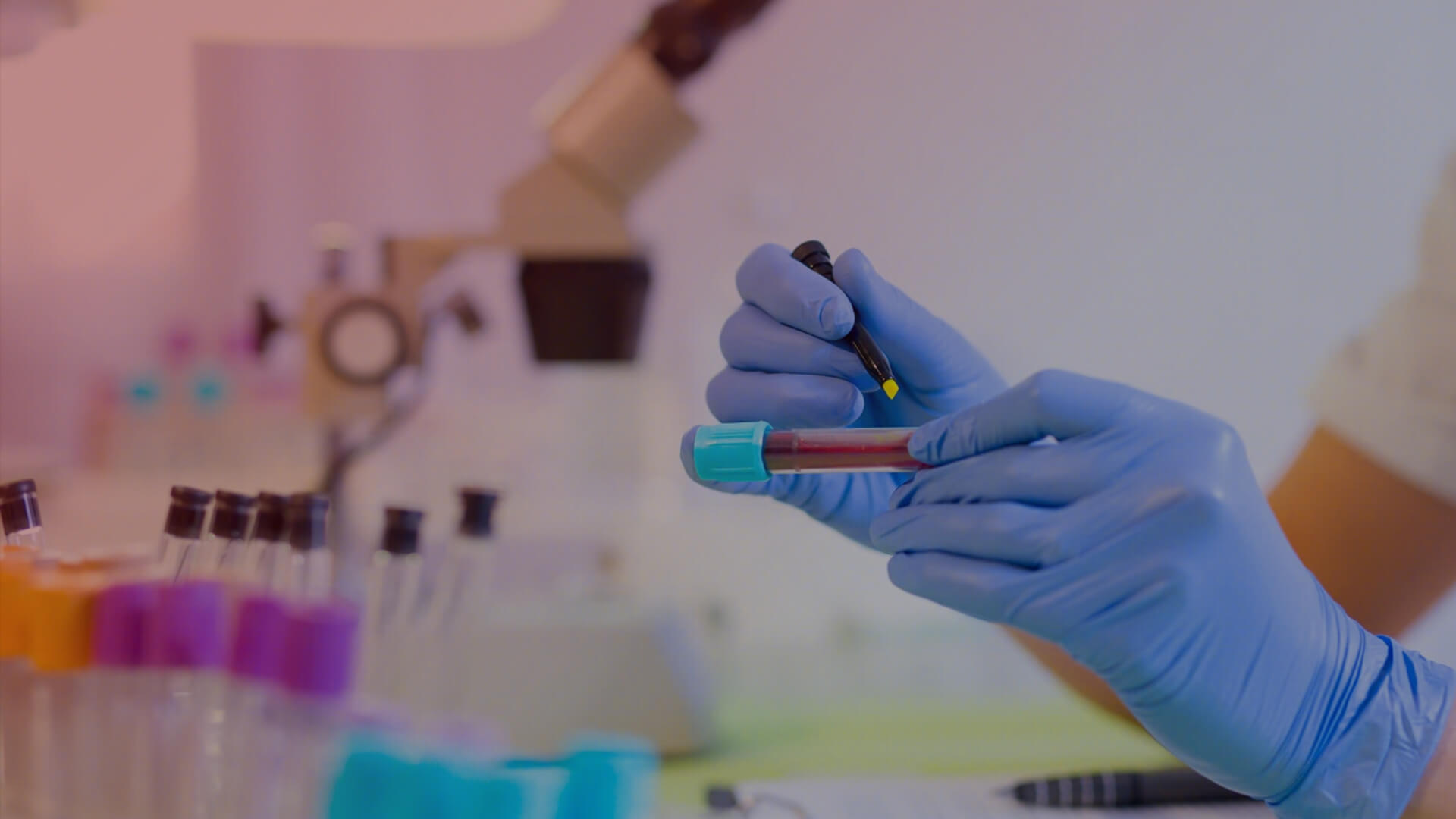 复方鳖甲软肝片联合恩替卡韦双抗治疗 